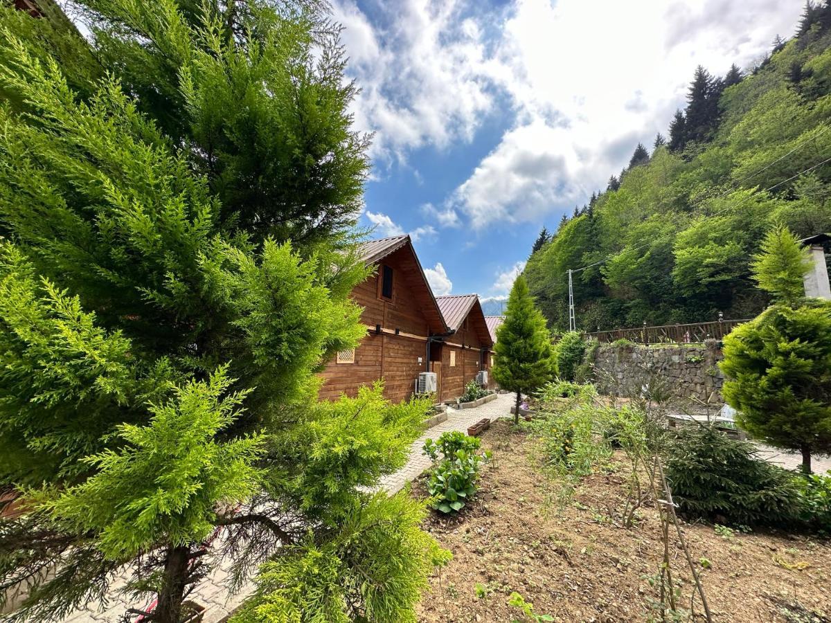 Tuva Villa Bungalov Çamlıhemşin 外观 照片